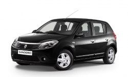 3D коврики EVA с бортами в салон  на Renault Sandero I (2009-2014)